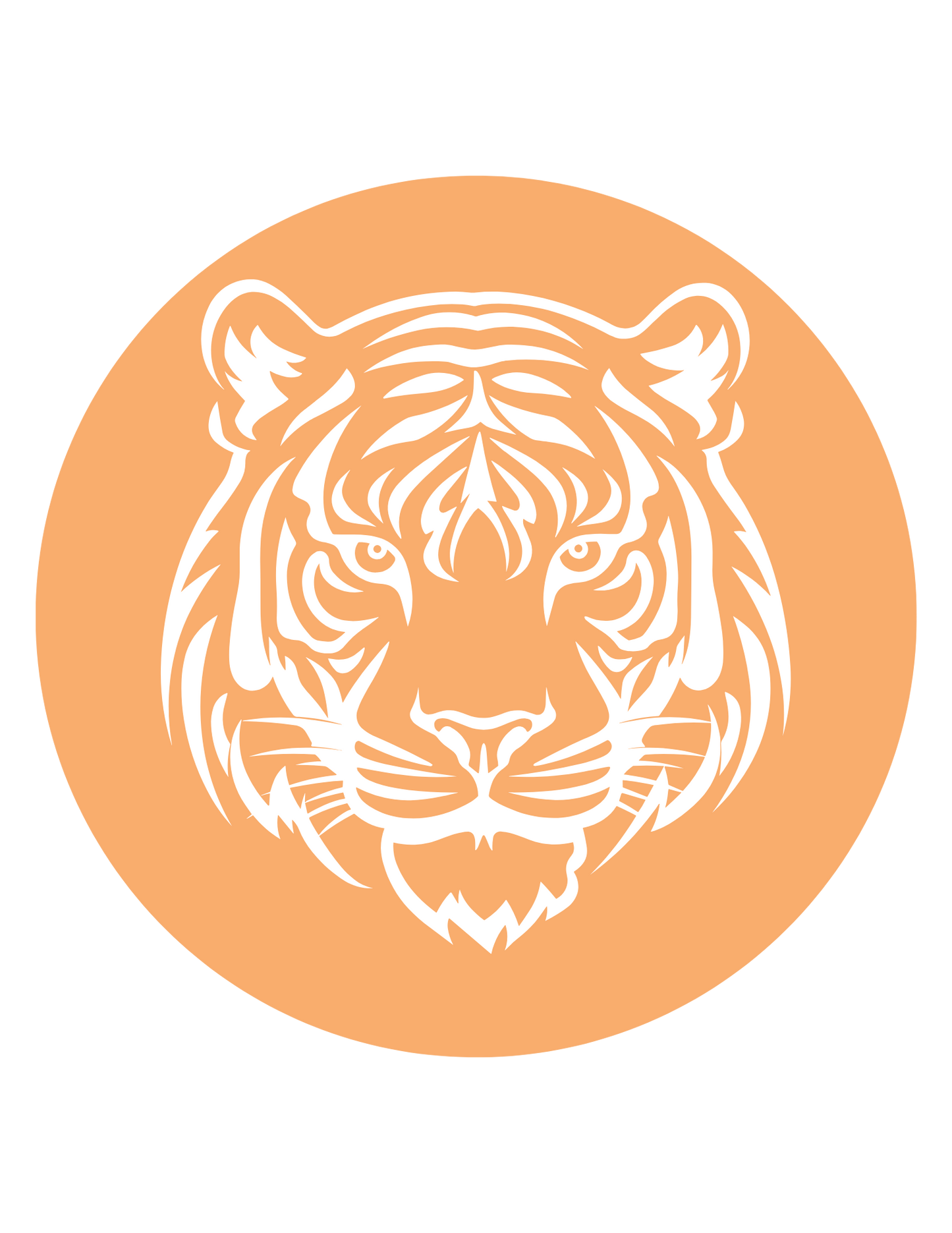 Tigers Clemson Football 3.5 Button Pin